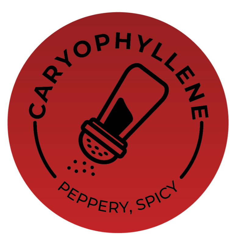 Caryophyllene
